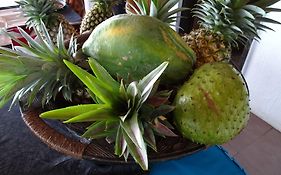 Savaii Lagoon Resort